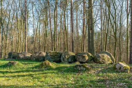 Prehistoric megalith dolmen Kuechentannen (kitchen denns)  near Haldensleben in Germanyの写真素材