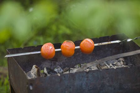 Tomatoes on the grill - Country vacationの写真素材