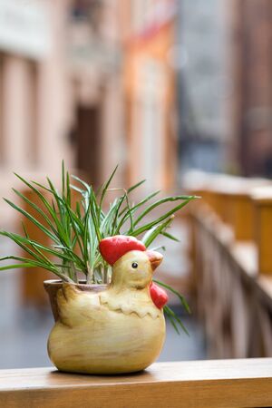 flower pot - symbol of the yearの写真素材