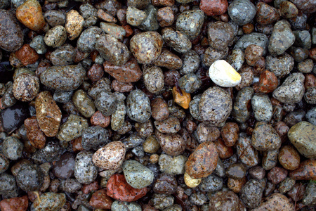 Grey wet pebbles on the beach macro photo for background. Natural round stones close up. Speckled stone texture for wallpapers or backdrop. Volcanic seashore. Small rocks closeupの写真素材