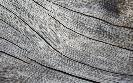 Wooden texture close up photo. White and grey wood background. White old tree near the sea. Curves and lines on rustic timber. Rough timber texture. Sea wood backdrop. Grey old tree blank table imageの写真素材