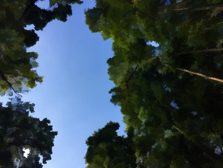 Dark green tree crowns on sky background. Natural digital illustration. Forest view to blue sky. Sight through green tree branches. Summer forest banner template with text place. Blooming nature imageの写真素材