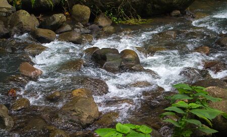 Forest stream among stones. Clean cold water stream in mountains. Fresh stream current between rocks. Rocky landscape with spring. Ecological tourism - hiking photo of fast river with clean waterの写真素材