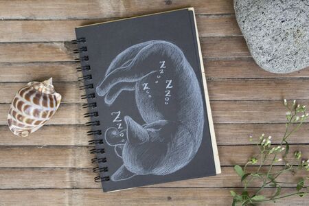 Pregnant cat sleeps hand-drawn illustration. Cat by white chalk on black paper. Black paper notepad on wooden background. Vintage wooden table with artwork. Cute cat drawing. Animal sketch by pencilの写真素材