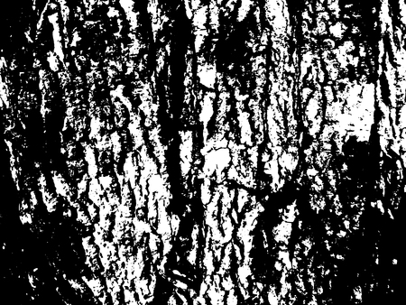 Cracked wooden bark surface. Wood bark texture. Aged texture of timber board. Distressed overlay for vintage effect.のイラスト素材