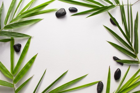 Bamboo leaf background. White paper with tropical leaf frame. Green bamboo leaf and sea beach pebbles flat lay. Blank page notepad top view. Natural spa or beauty banner template with text placeの写真素材