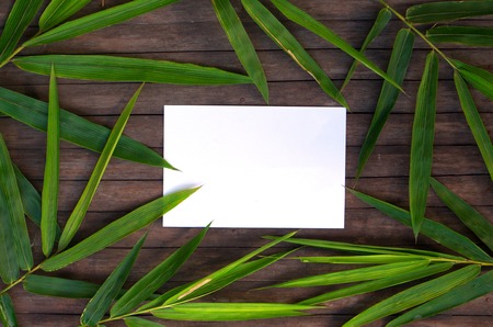 Bamboo leaf frame on rustic wooden background. Blank paper in bamboo leaf wreath. Chinese bamboo flat lay. Spa or beauty banner. Exotic island travel postcard mockup. Tropical vacation card templateの写真素材