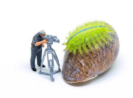 Miniature cameraman and green caterpillar. Operator at work shooting tropical animal. Cameraman tiny...
