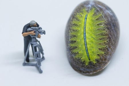 Miniature doll cameraman and green caterpillar. Videographer at work shooting tropical animal. Cameraman figurine. Filmmaking concept. Tropical nature studio shot. Exotic insect in camera. Green slugの写真素材