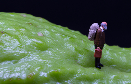 Old man figure walking on fruit skin. Senior traveler figurine on rough exotic vegetable. Senior man healthy diet concept. Active lifestyle in elderly age. Aged backpacker on asian vegetable chayoteの写真素材