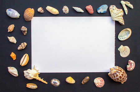 Black table with white paper and sea shells. Empty paper with shellfish frame. Oceanic shells mockup template. Summer holiday message banner template. Tropical sea shells and paper sheet flat layの写真素材
