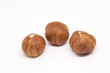 Hazelnut isolated on white background. Three ripe nut closeup photo. Simple organic food. Tasty healthy snack package design. Scattered hazelnut clipart. Hazel banner template with text placeの写真素材
