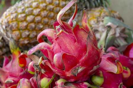 Red dragonfruit and pineapple on market table. Tropical fruit on natural farm market. Organic juicy exotic fruit. Natural pink pitahaya closeup. Sweet ripe pitaya cactus fruit. Vegetarian dessert foodの写真素材