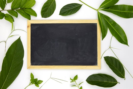 Blank chalkboard and green summer leaves on white background. Empty blackboard mockup with green foliage. Textured chalk board and green leaf flat lay photo. Summer decor on white table top viewの写真素材