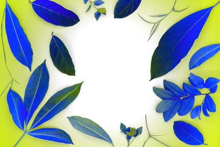 Blue toned leaves on flat background. Colored leaf top view photo. Tropical trees foliage frame with...