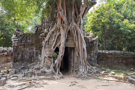 Ancient ruins of Ta Som temple in Angkor Wat complex, Cambodia. Stone temple ruin with jungle tree aerial roots. Abandoned temple demolished by tropical jungle. Tourism and sightseeing place in Asia.の写真素材