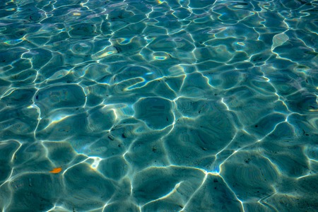 Blue tropical sea water texture. Clean seawater closeup photo. Still sea surface. Transparent water of tropical seaside. Swimming or snorkeling banner template. Summer vacation concept backgroundの写真素材