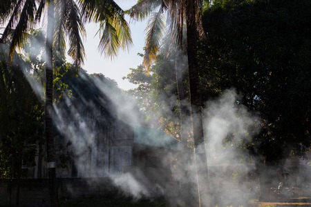 Coco palm trees tropical landscape with smoke and sun beam. Romantic sunset landscape with palms and...