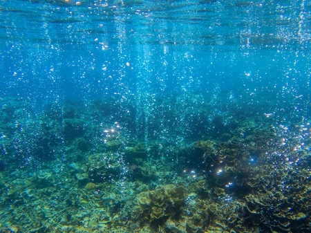 Underwater landscape with tropical fish and coral reef. Sparkling oxygen bubbles from seabottom. Marine animal wildlife. Coral reef view. Tropical seashore environment. Exotic island vacationの写真素材
