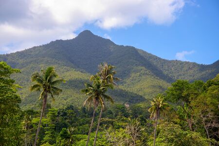 Tropical landscape with greenery and mountains in sunny day.の写真素材