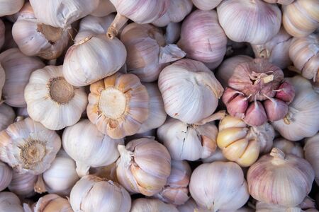White garlic texture, spice or vegetable closeup photo. Healthy food package. Garlic bulb pile top...