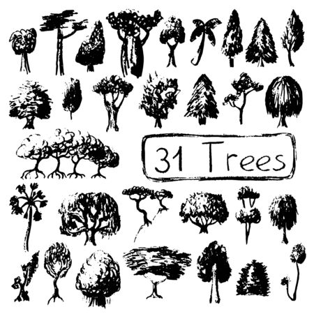 Black and white set silhouettes of tree. Summer tree vector illustration on white background. Black ink tree stamp. Firtree, mangrove, palm and leafy tree. Handdrawn botanical sketch. Earth day posterのイラスト素材
