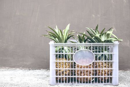 Fresh pineapples bunch in fruit box. Tropical food delivery. Pineapple pile faded vintage photo....