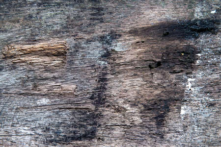 Natural wooden texture closeup. Weathered timber with fire marks. Natural background for vintage design. Rustic wood backdrop. Wooden table top view. Grungy lumber flat lay. Distressed gray woodの写真素材