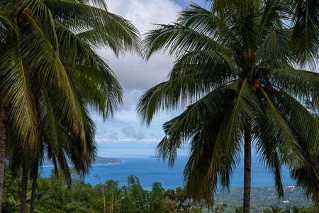 Sea view through coco palm trees, tropical nature photo. Tropical island landscape with sea and palm trees. Hiking in volcanic island mountains. Summer vacation in South Asia. Coastal land panoramaの写真素材