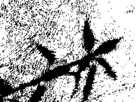 Grungy vector texture. Black shadow of plant on grunge concrete surface. Rough splatter on white background. Brushed wall texture for vintage overlayのイラスト素材