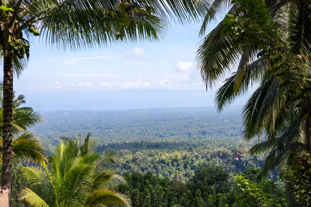 Coco palm tree natural frame on tropical island landscape. Tropical forest palm leaf view with distant ocean. Tropical nature environment. Untouched wild forest. Mountain top view. Hiking in tropicsの写真素材