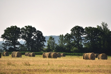 Round Hay Balesの写真素材