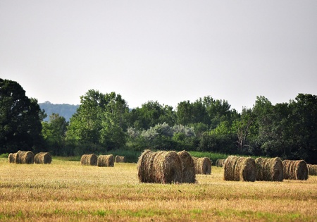 Round Hay Balesの写真素材