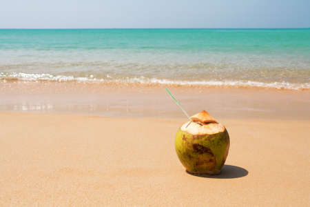 Coconut on the beachの写真素材