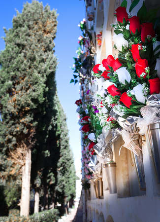 Flowers in the cemetery near the wall with the burial, path, bouquet, cypress