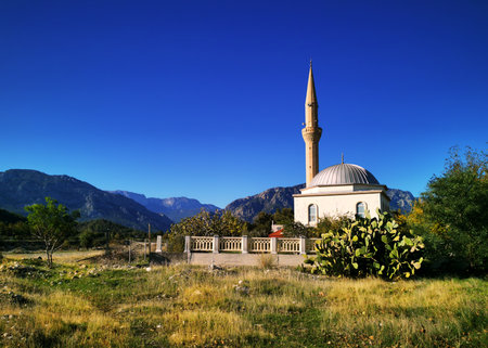 A white rural mosque, one minaret, small, blue sky, mountains, greenery, spaceの写真素材