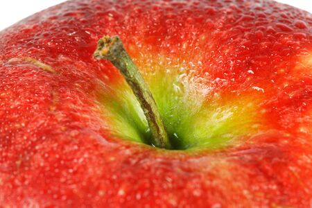 One fresh red appleの写真素材