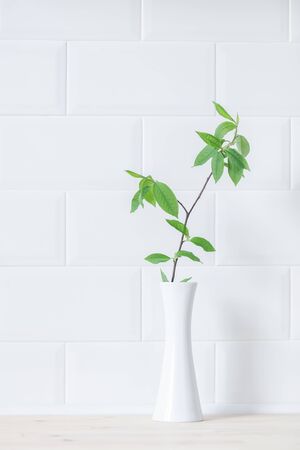 interior white kitchen. Green sprig in white ceramic Cup on a white background.の写真素材