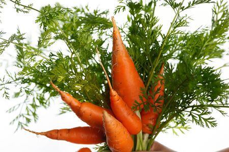 Fresh carrots on white backgroundの写真素材