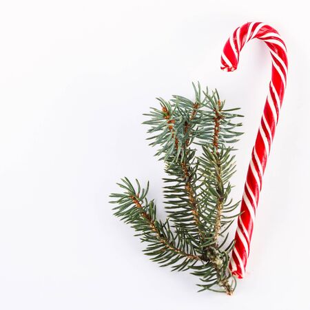 one red Christmas candy with fir twig on white backgroundの写真素材