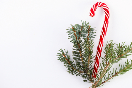 one red Christmas candy with fir twig on white backgroundの写真素材