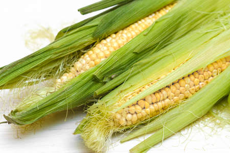 two fresh corn cobs on white background.