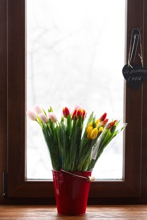 a bouquet of tulipsの写真素材