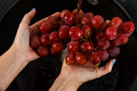 the girl washes a bunch of red grapes in her hands. Closeupの写真素材