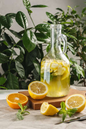 citrus lemonade with ice cubes in vintage graph on greenery backgroundの写真素材