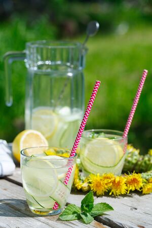 Summer refreshing drink. detox lemonade from cucumber, lemon and mintの写真素材