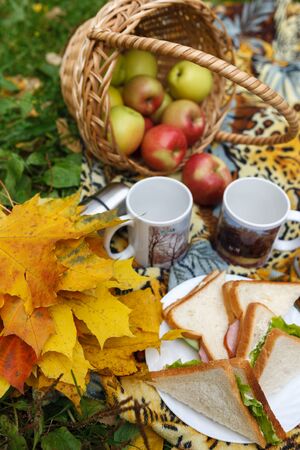 picnic with sandwiches and a basket of apples in the autumn garden. Yellow autumn colorsの写真素材