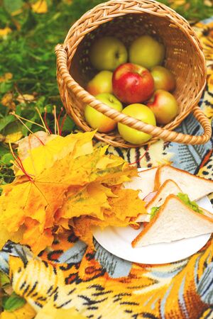 picnic with sandwiches and a basket of apples in the autumn garden. Yellow autumn colorsの写真素材