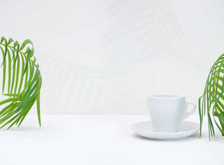 one white empty Cup on a white background with palm leavesの写真素材