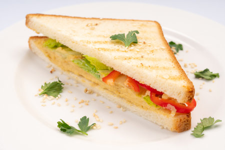 Breakfast. Sandwich with vegetables and herbs on a white plate and a white background.の写真素材